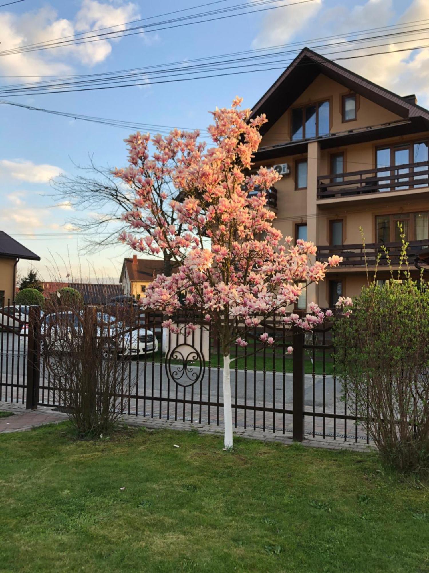 Hotel У Оксани Solochyn Exterior foto